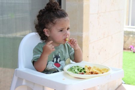 Top 5 Toddler Booster Eating Seat for Your Child