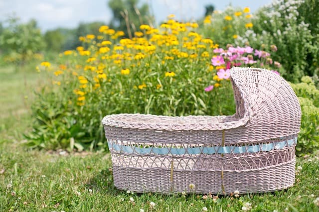 Automatic Rocking Bassinet