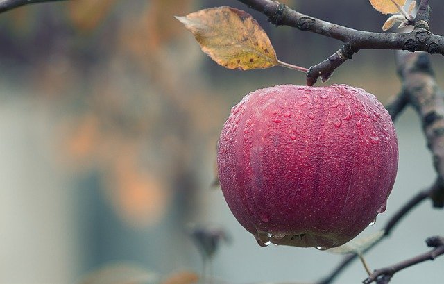 When Can Baby Eat Raw Apple