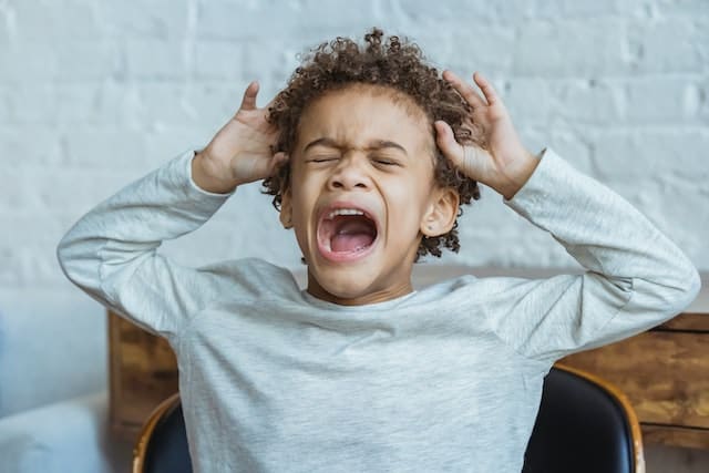 Understanding the Reasons Behind Screaming