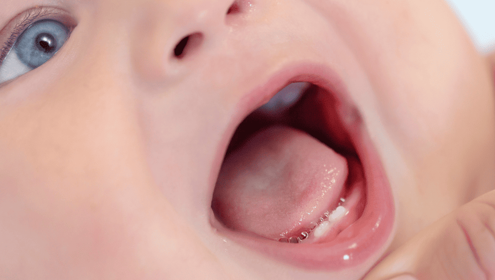 The Role of Teething
