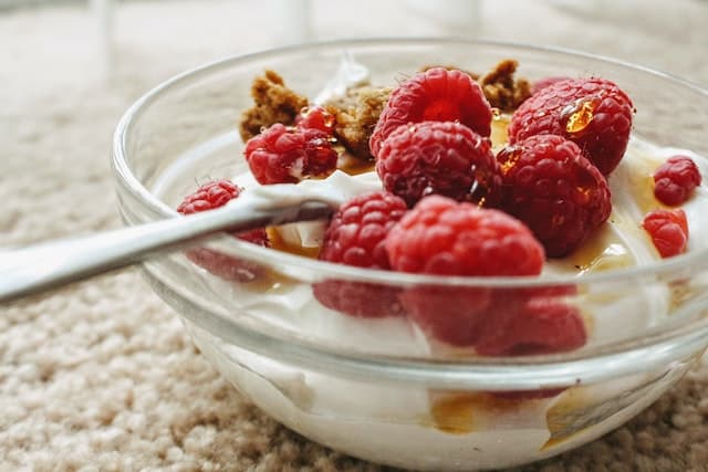 Making Homemade Yogurt Melts