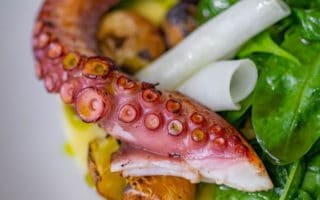 Can You Eat Octopus When Pregnant