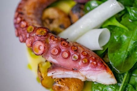 Can You Eat Octopus When Pregnant