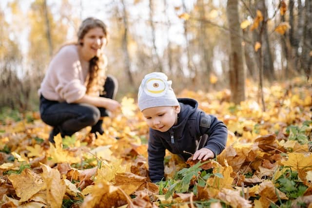 Understanding Asymmetrical Crawling