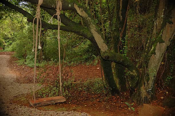 How to Safely Hang a Baby Swing from a Tree