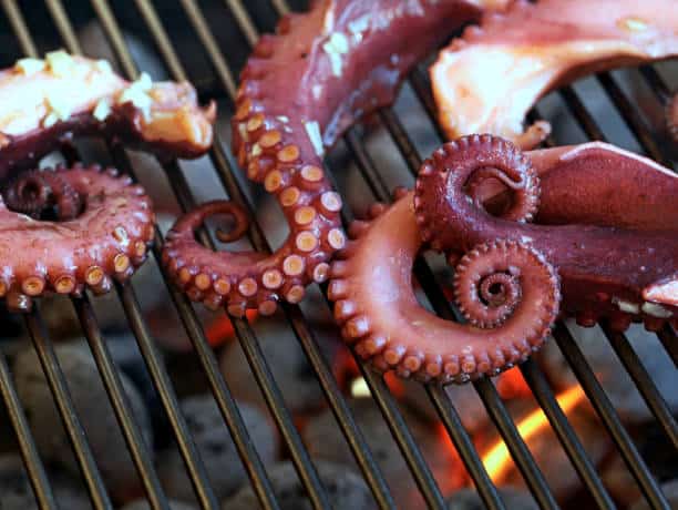 Can You Eat Octopus When Pregnant