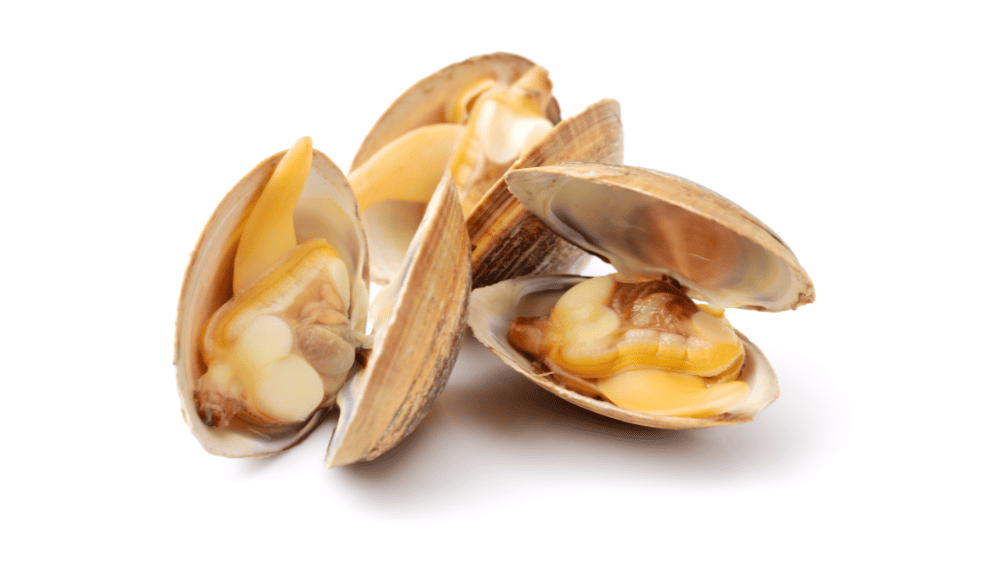 Safety Measures When Consuming Seafood
