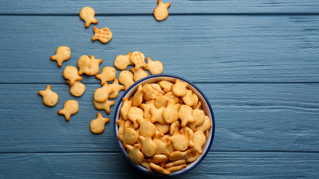 Goldfish Diet and Nutrition