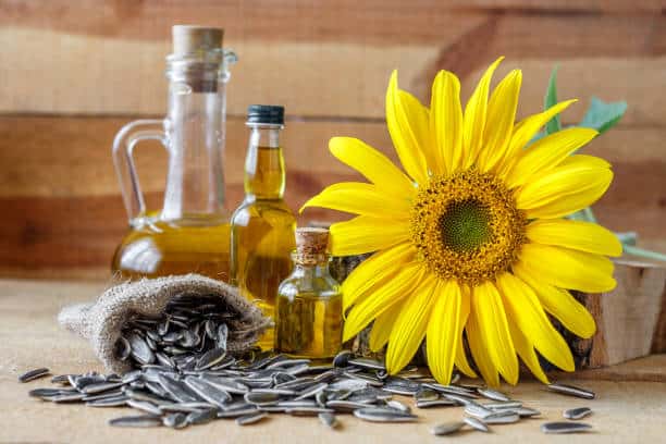 Can Sunflower Lecithin Decrease Milk Supply