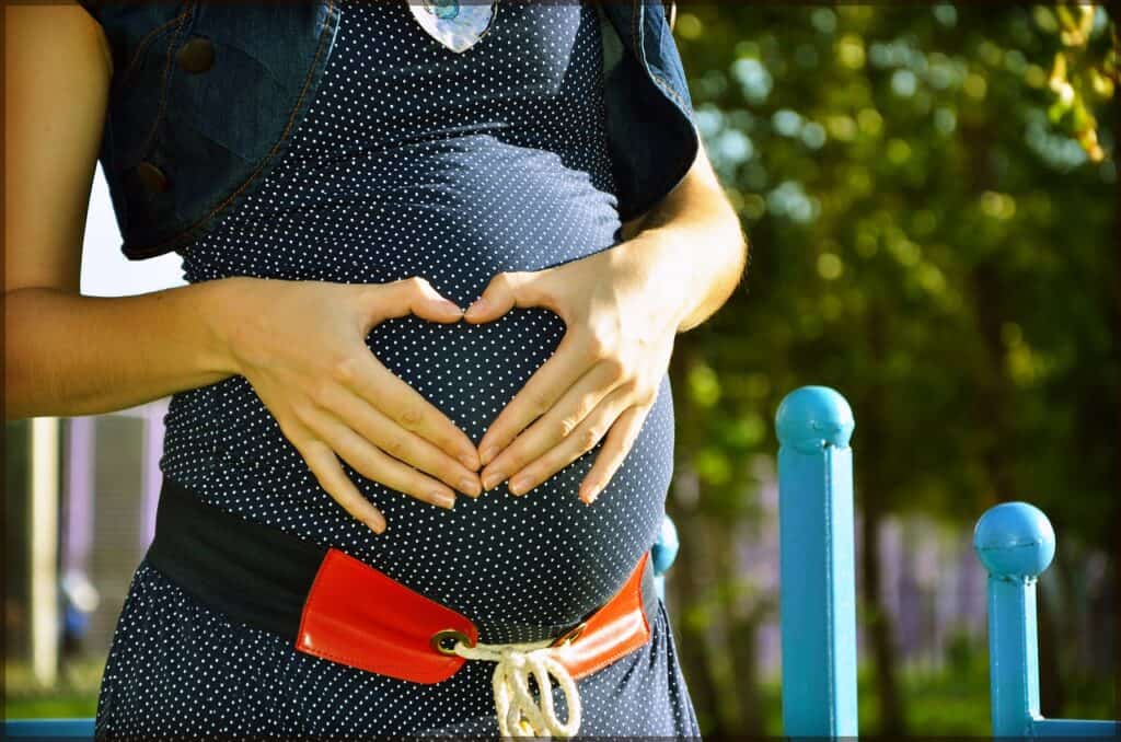 Maternity Support Belt