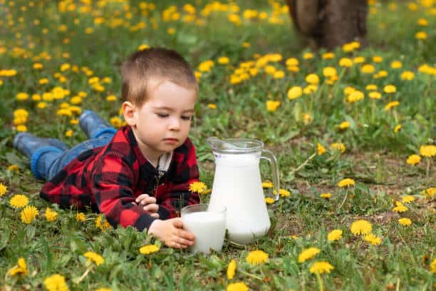 Can Sunflower Lecithin Decrease Milk Supply