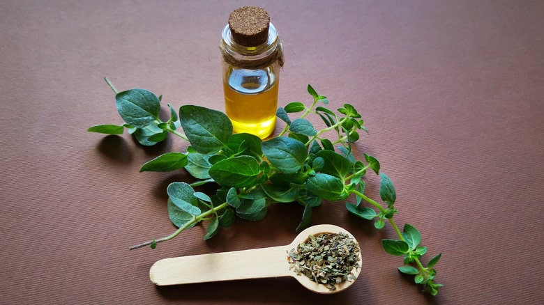 Understanding Oregano Oil