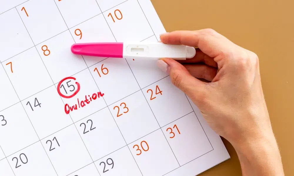 Can Ovulation Test Detect Early Pregnancy