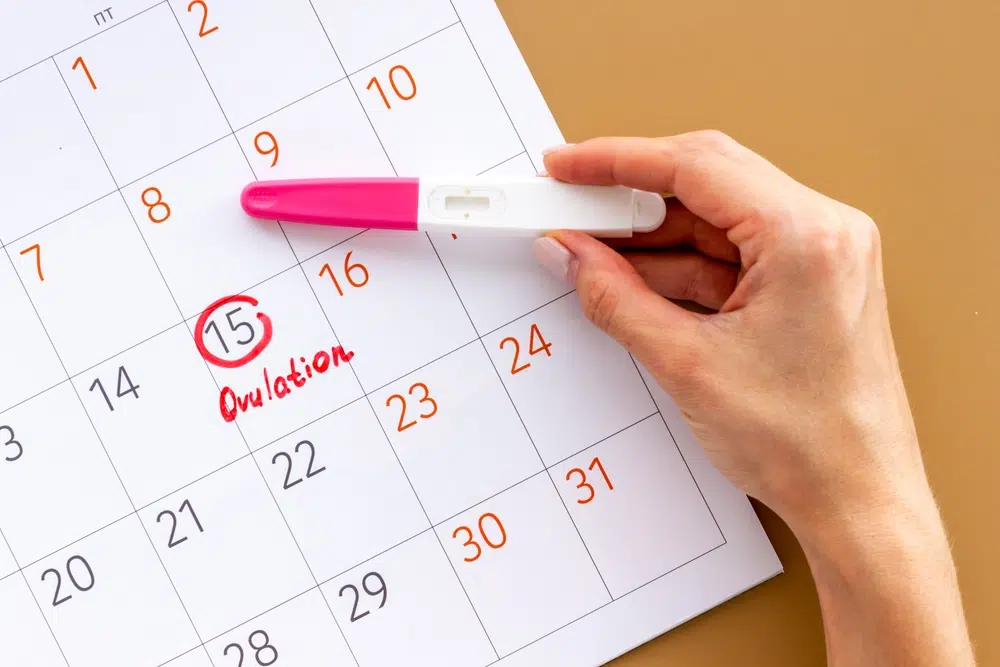 Can Ovulation Test Detect Early Pregnancy