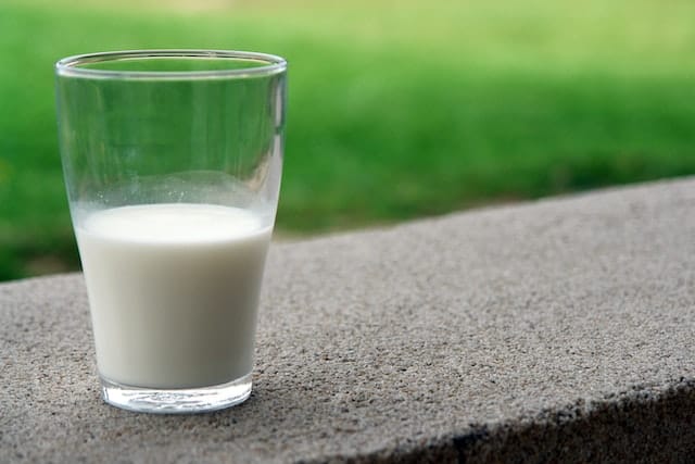 Understanding Raw Milk
