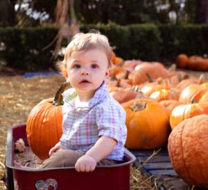Cute toddler in a checkered shirt sitting in a wagon surrounded by pumpkins in a fall setting.